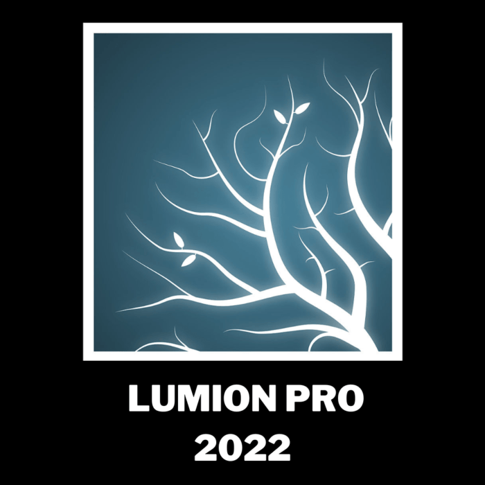 Lumion Pro 2022